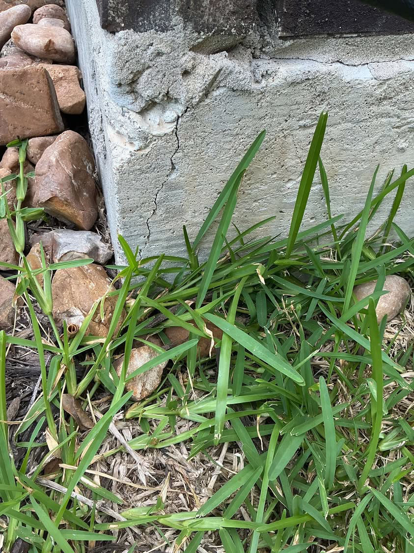 Vertical crack in a concrete foundation corner at grade level